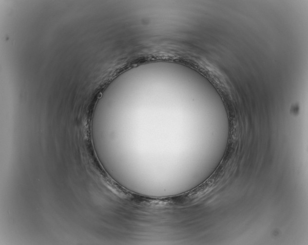X0000091290465200708101030
