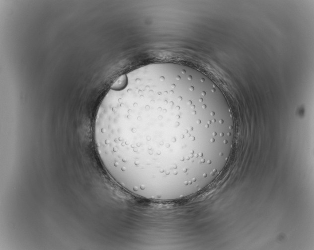 X0000091290469200708101030