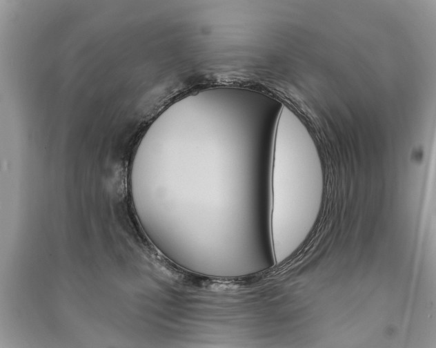 X0000091290471200708101030