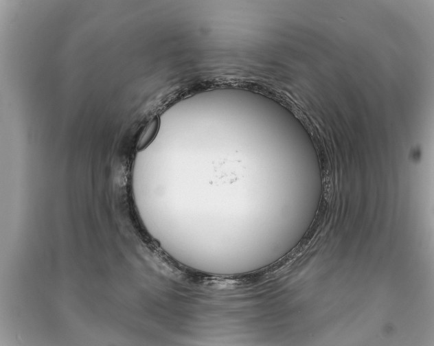 X0000091290472200708101030