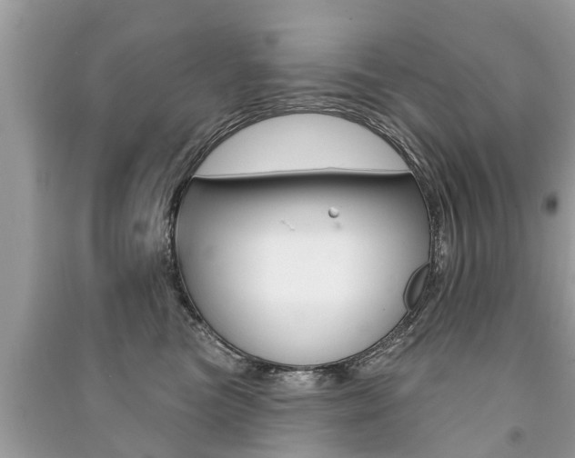 X0000091290473200708101030