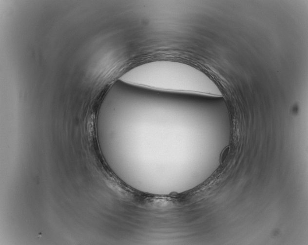 X0000091290475200708101030