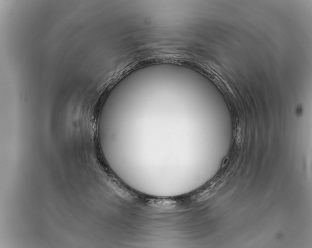 X0000091290476200708101030