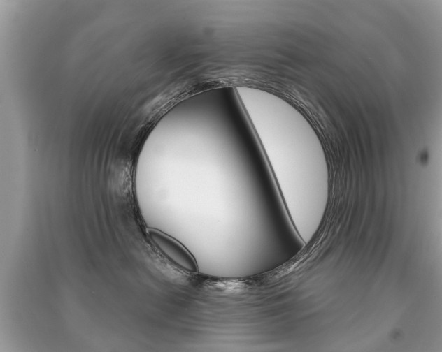 X0000091290478200708101030