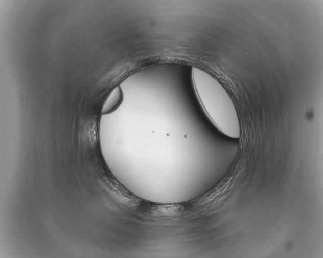 X0000091290479200708101030