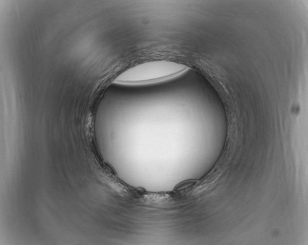 X0000091290480200708101030