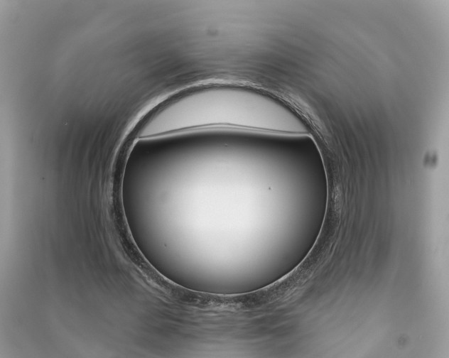 X0000091290484200708101029