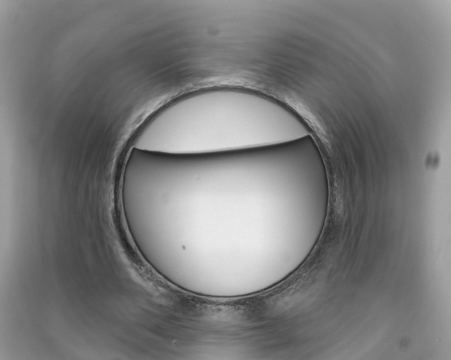X0000091290486200708101029