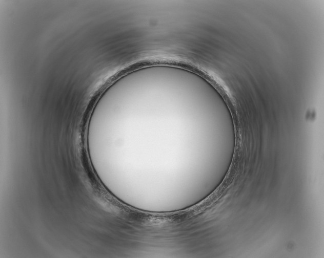 X0000091290487200708101029