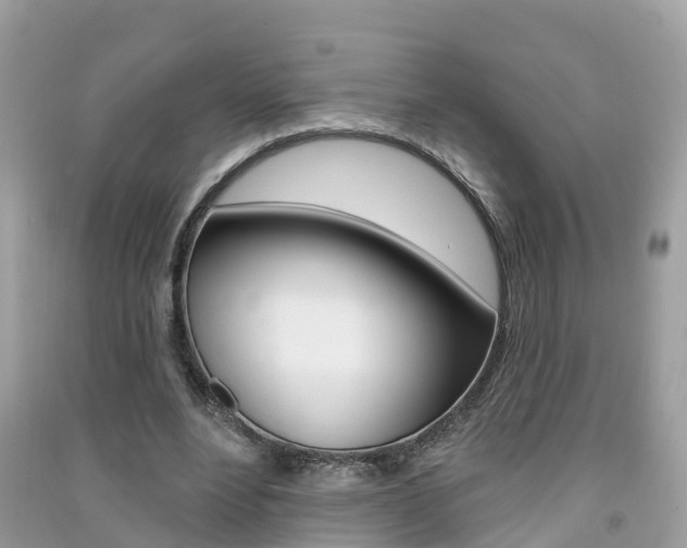 X0000091290488200708101029