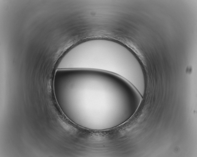 X0000091290489200708101029