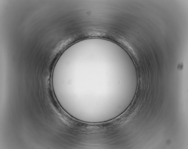 X0000091290490200708101029