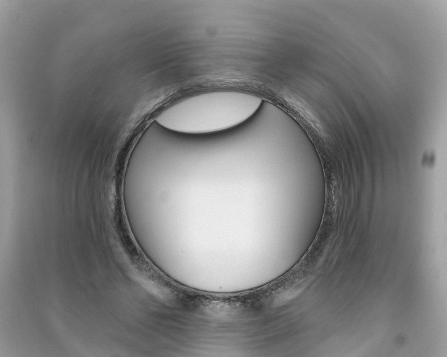 X0000091290494200708101029