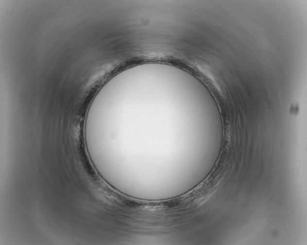 X0000091290495200708101029