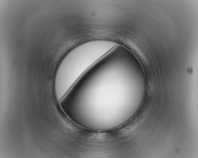 X0000091290497200708101029