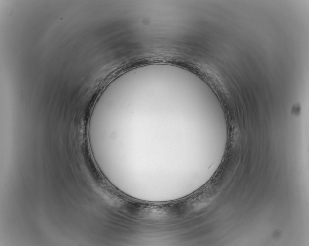 X0000091290498200708101029