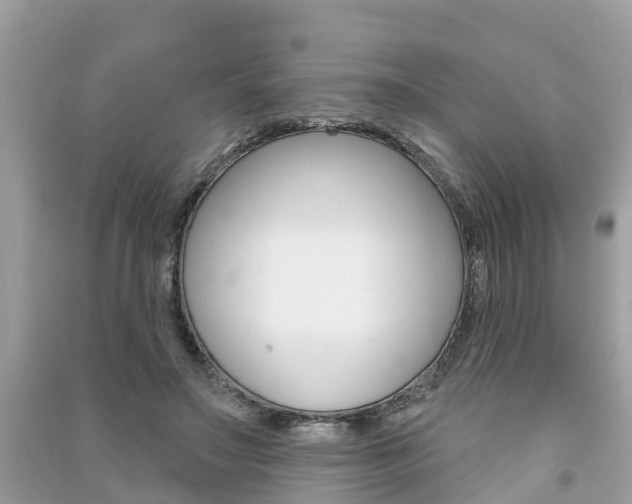 X0000091290499200708101029