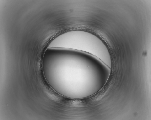 X0000091290501200708101029