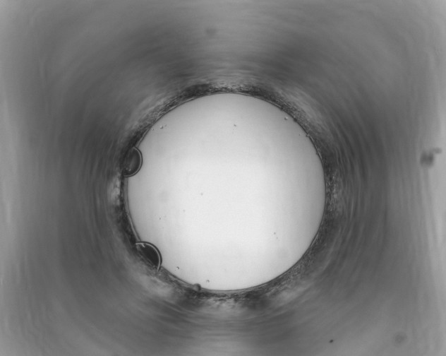 X0000091290502200708101029