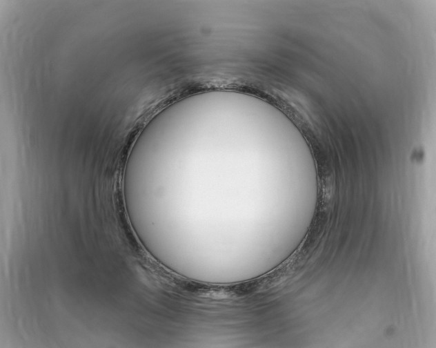 X0000091290503200708101029