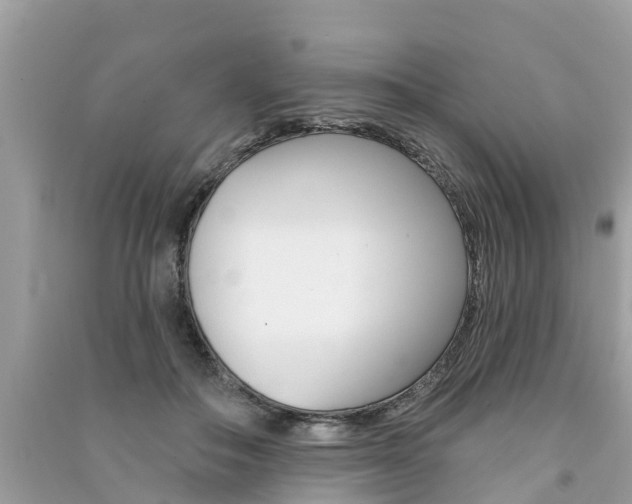 X0000091290506200708101029