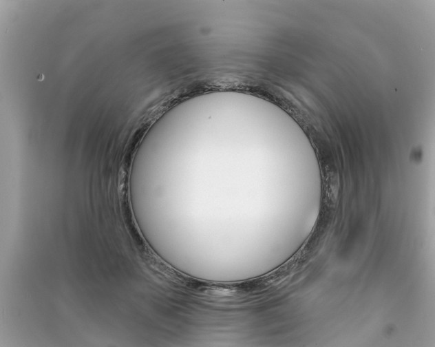 X0000091290507200708101029