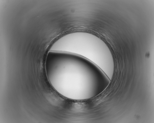 X0000091290508200708101029