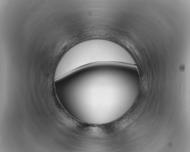 X0000091290509200708101029