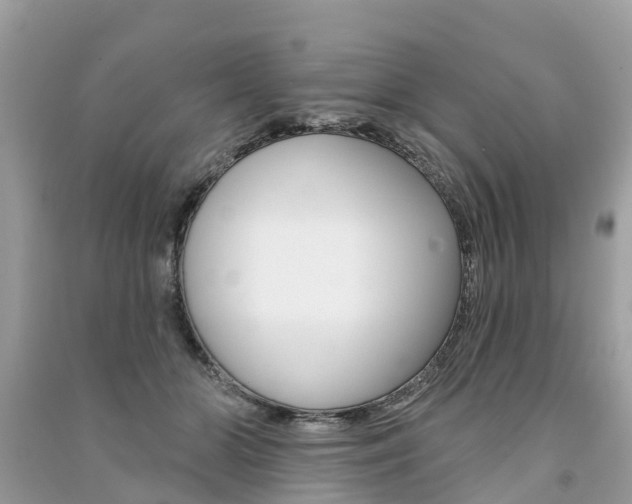 X0000091290510200708101029