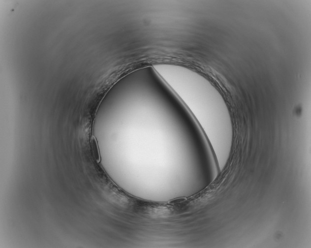 X0000091290513200708101029