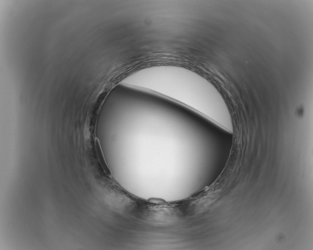 X0000091290516200708101029