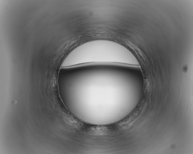 X0000091290517200708101029