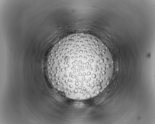 X0000091290519200708101029