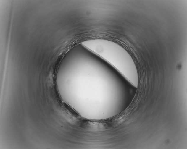 X0000091290520200708101029