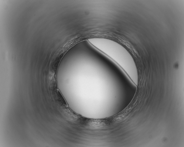 X0000091290521200708101029