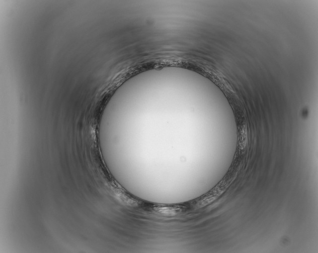 X0000091290522200708101029