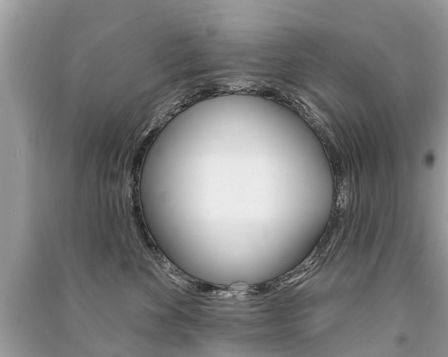 X0000091290524200708101029