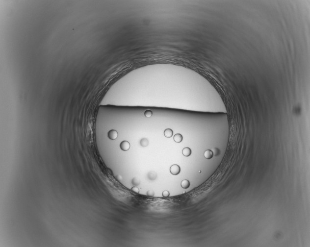 X0000091290527200708101028