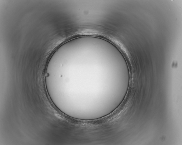 X0000091290529200708101028