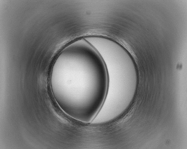 X0000091290530200708101028
