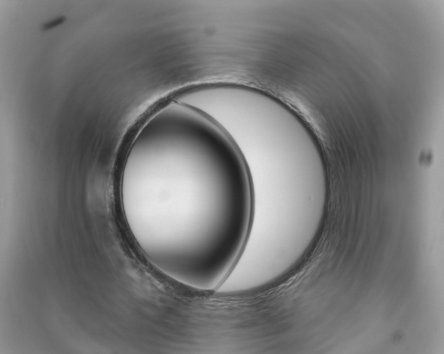 X0000091290532200708101028