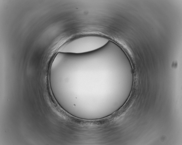 X0000091290533200708101028