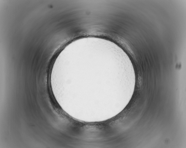 X0000091290534200708101028