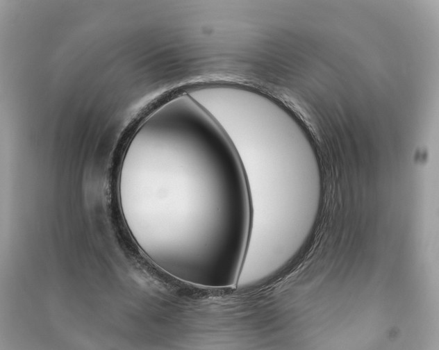 X0000091290536200708101028