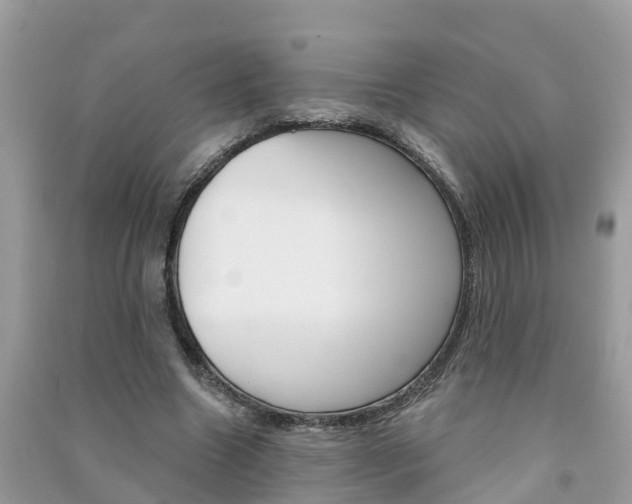 X0000091290538200708101028