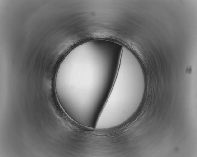 X0000091290539200708101028