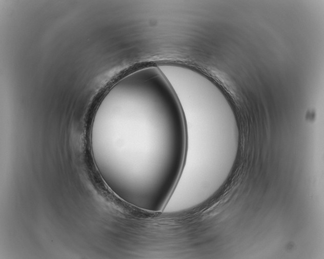 X0000091290540200708101028