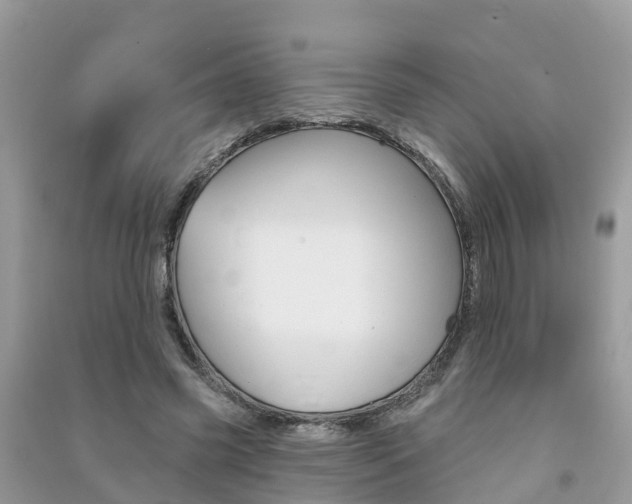 X0000091290541200708101028