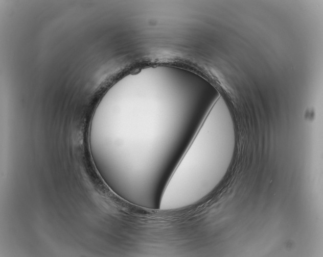 X0000091290543200708101028