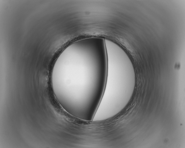 X0000091290544200708101028